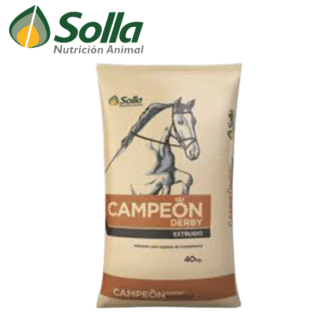CAMPEON DERBY EXTRUIDO - SOLLA