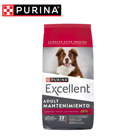 EXCELLENT ADULT MANTENIMIENTO EXCELLENT ADULT MANTENIMIENTO