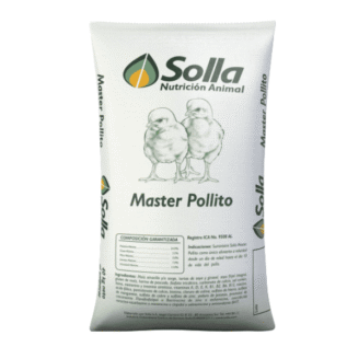 MASTER POLLITO MINIPELET - SOLLA