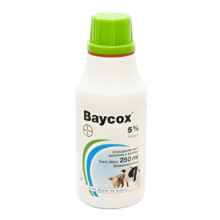 BAYCOX