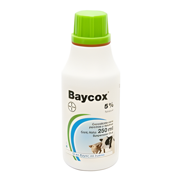 BAYCOX BAYCOX