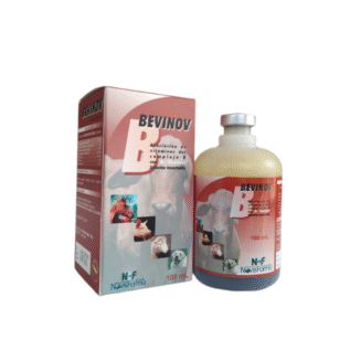 BEVINOV