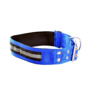 COLLARES DE LUJO PARA MASCOTAS