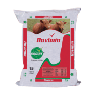 SAL SOMEX BOVIMIN X  40KG