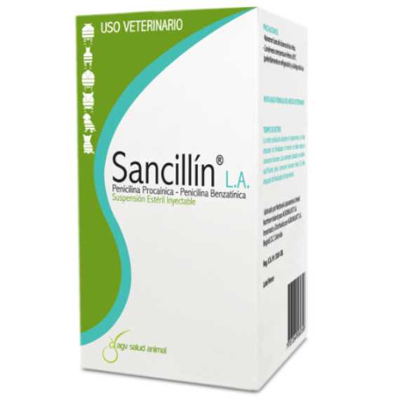 SANCILLIN L.A SANCILLIN L.A