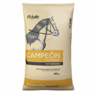 CAMPEON DORADO TEXTURIZADO - SOLLA