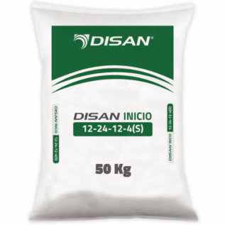 Disan Inicio 12-24-12+4(S)