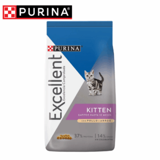 EXCELLENT KITTEN