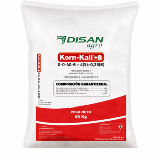 Korn Kali +B